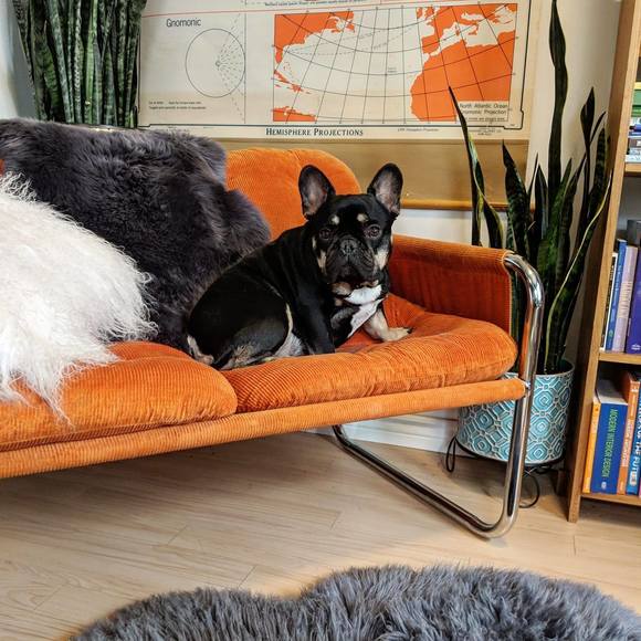 Meet your Posher, Cindy - Picture 1 of 1